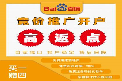 竞价SEM托管案例：广告投放的优化之道
